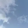 holibro01