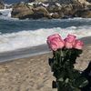 a_rxo80