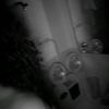 lia.2208_
