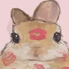 fanyyyysg