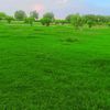 qadeerqadeer1234