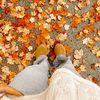 pumpkinspices1ut