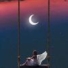 mr_almalki3