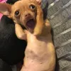 yingdeptraine