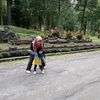 hika29_
