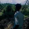 bang_al902