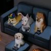 sofi_154792