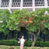 nadira_delia