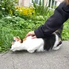dasha_g345