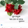 user4905546972176