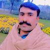 asif_jutt_7860