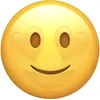 smf_sean25