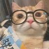 changcutis1tgioi4