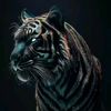 afrizal123576