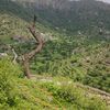 yusuf..alareqi
