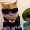 justteddy08