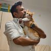 dilip2285