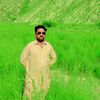 sardaralikhoso647