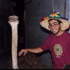 arlatifauthor