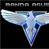 bandaaguila