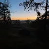 jasp378