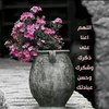 nawal_zwayed