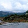 malek.jijel