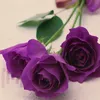 sofezeen