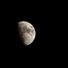 richardo_301