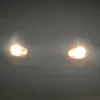 frankleistenzauras