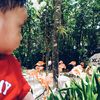 jat_812