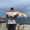 smallmouthpro