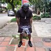 foe_305