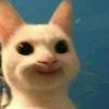 tthanhphamhp