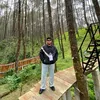 inisiala_a31