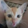 _.trthy_narak_uwu._