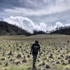 nathz21_