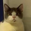 bi_hui