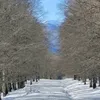 christiandamato77