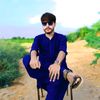 shahbazalijamali17