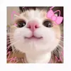 hariiistore