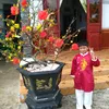 maingothi360