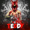 nos.teddy