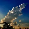 josemiguelarevalo6