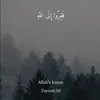 isimsiz_kedi2000