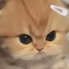 userjtnojjkkti