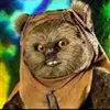 ewokin_skywalker