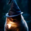 witch_kat12