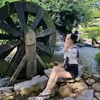 linh.taay206