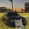 king_of_the2